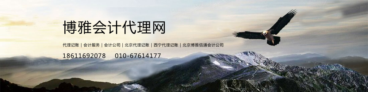 ���ŕ�(hu��)Ӌ(j��)�����W(w��ng)